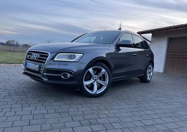 Audi SQ5 cena 88000 przebieg: 185000, rok produkcji 2014 z Turek małe 46